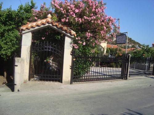 Photo of Others in Eresos-Antissa