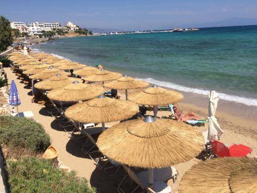 Photo of Others in Milos