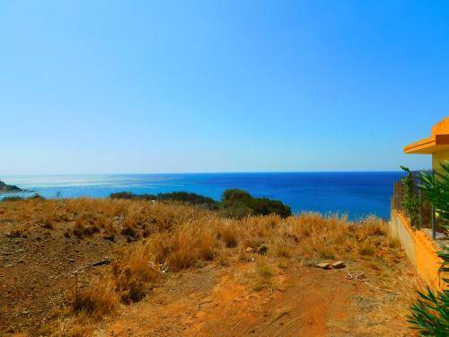 Photo of Others in Minoa Pediada