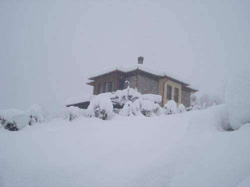 Photo of Others in Ritini