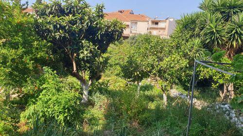 Photo of Others in Pylos