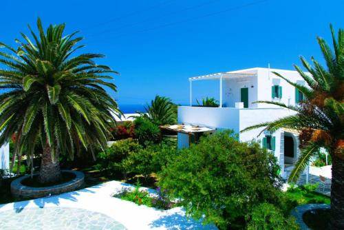 Photo of Others in Apollonia