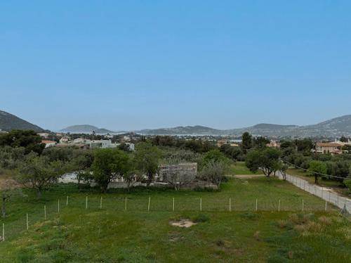 Photo of Others in Palaia Fokaia