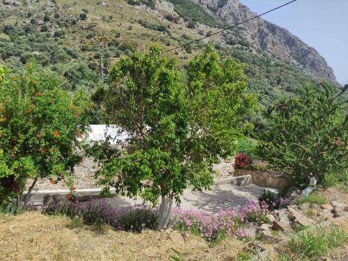 Photo of Others in Kantanos-Selino