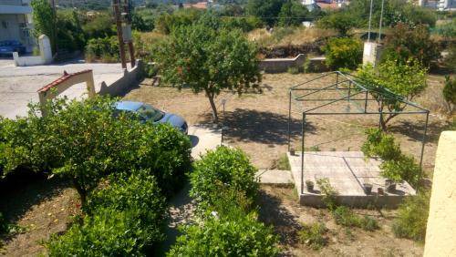 Photo of Others in Petaloudes