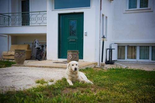 Photo of Others in Preveza
