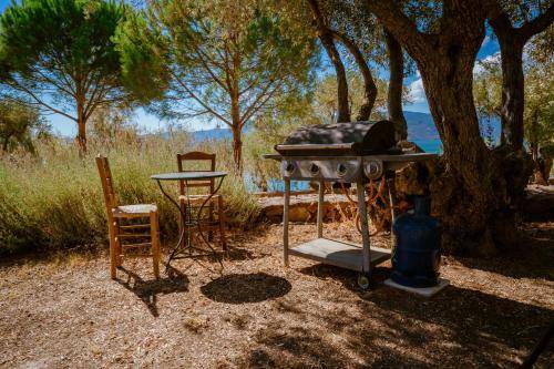 Photo of Others in Mytilene