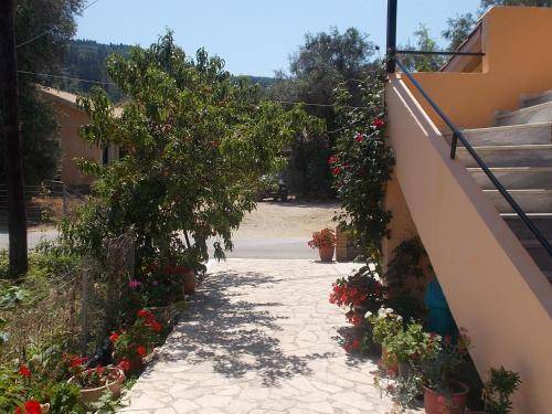Photo of Others in Agios Georgios Pagon