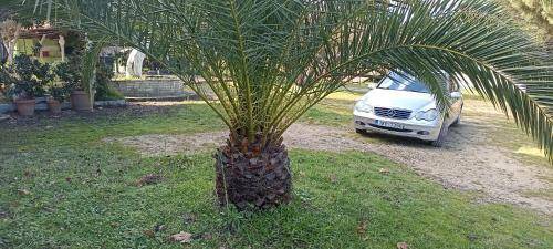 Photo of Others in Vourvourou