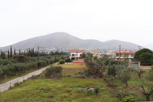Photo of Others in Palaia Fokaia