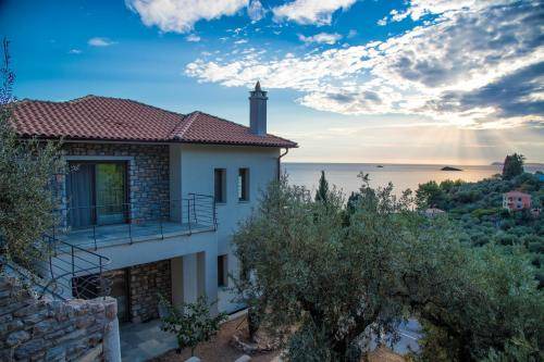 Photo of Others in Neo Klima