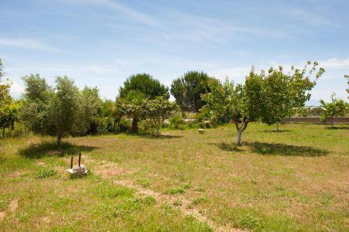 Photo of Others in Preveza