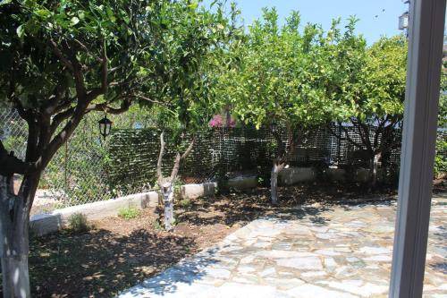 Photo of Patio Balcony in Kefalonia