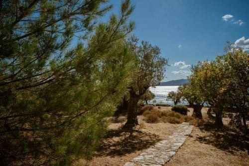 Photo of Others in Mytilene
