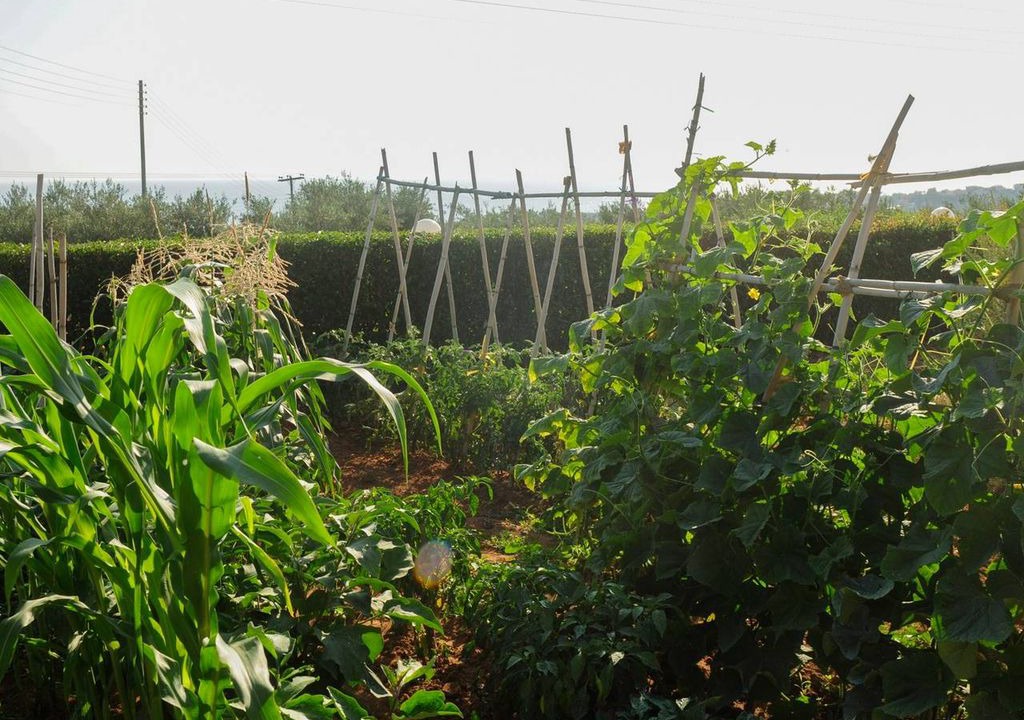 Photo of Outdoor in Riglia