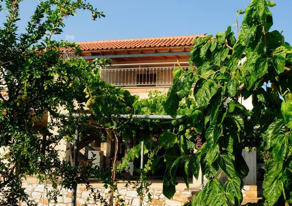 Photo of Buildings in Riglia