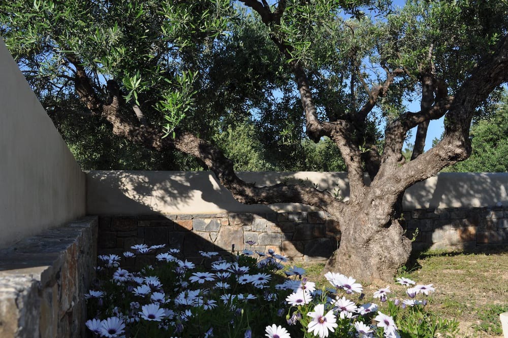 Photo of Outdoor in Old Hersonissos