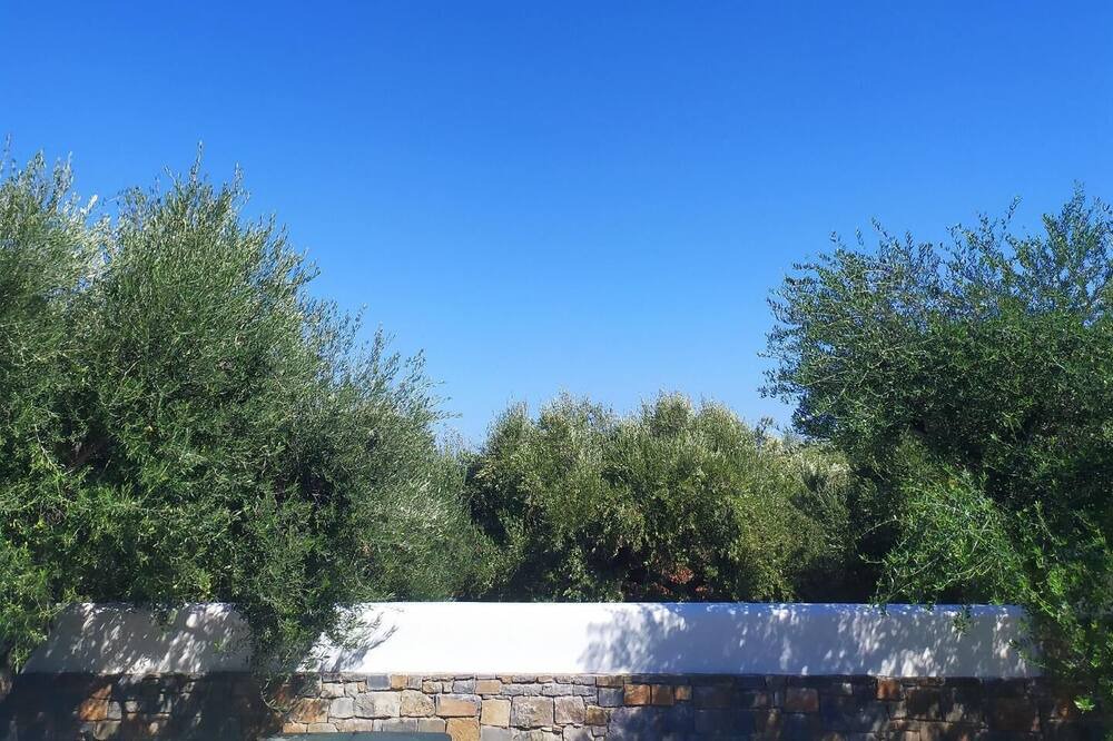 Photo of Outdoor in Old Hersonissos