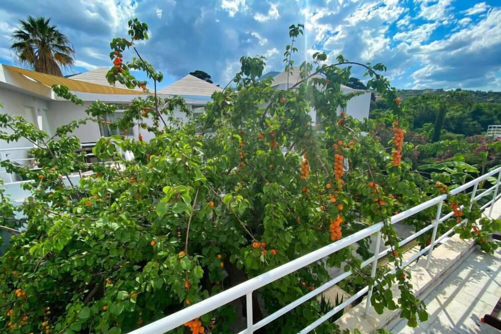 Photo of Patio Balcony in Varia
