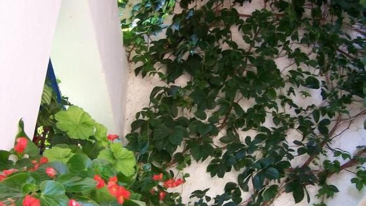 Photo of Outdoor in Perigiali