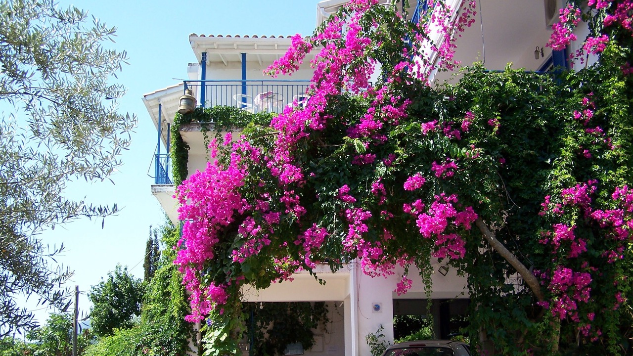 Photo of Buildings in Perigiali