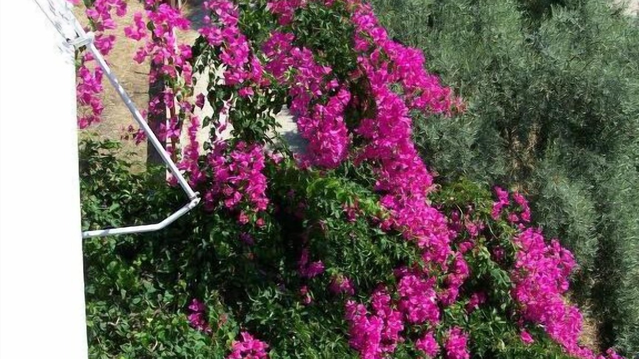 Photo of Outdoor in Perigiali