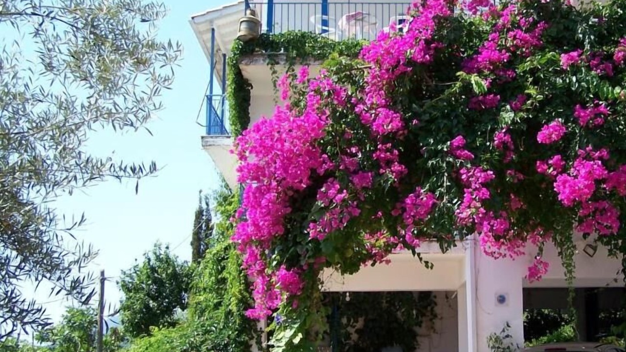 Photo of Outdoor in Perigiali
