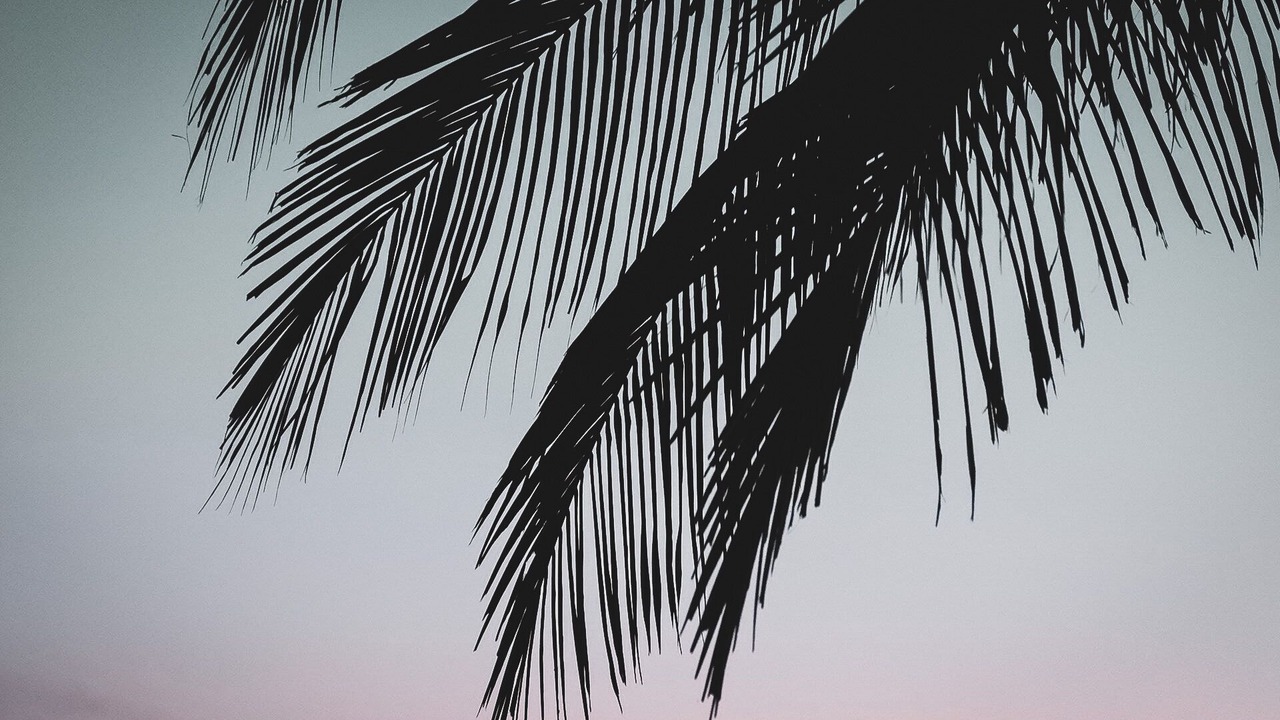 Photo of Outdoor in Ierapetra