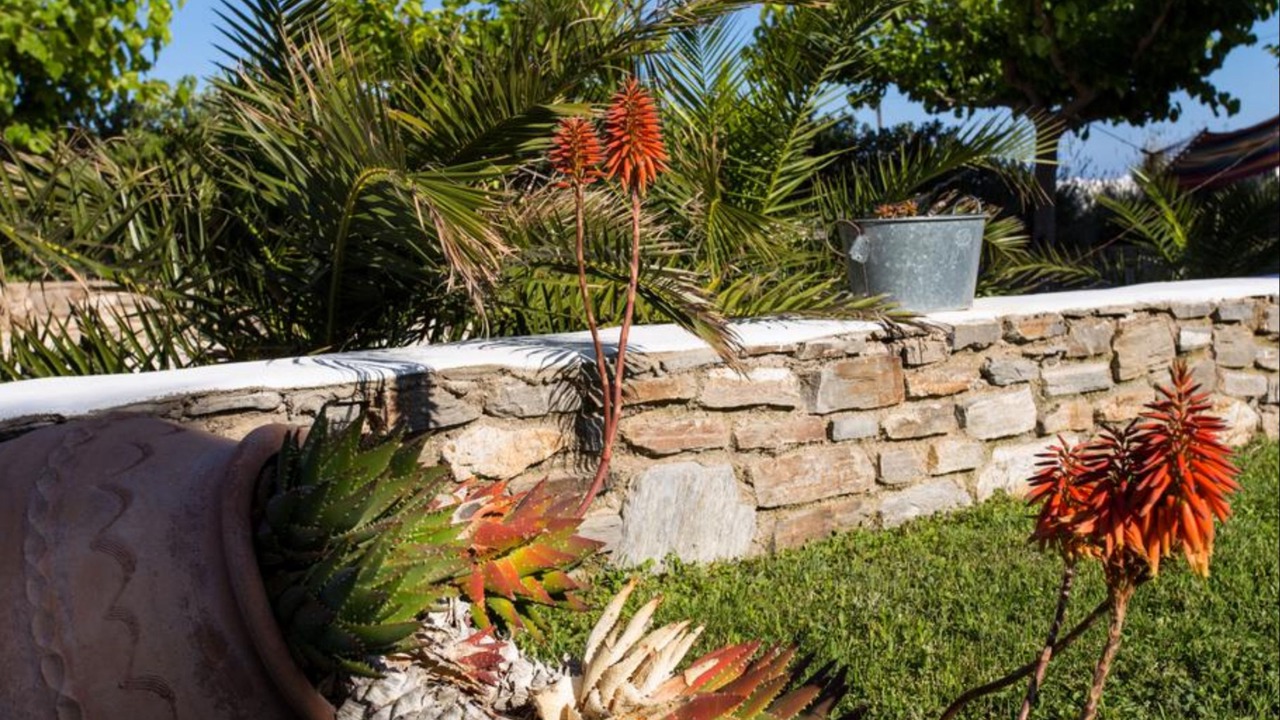 Photo of Outdoor in Aliki