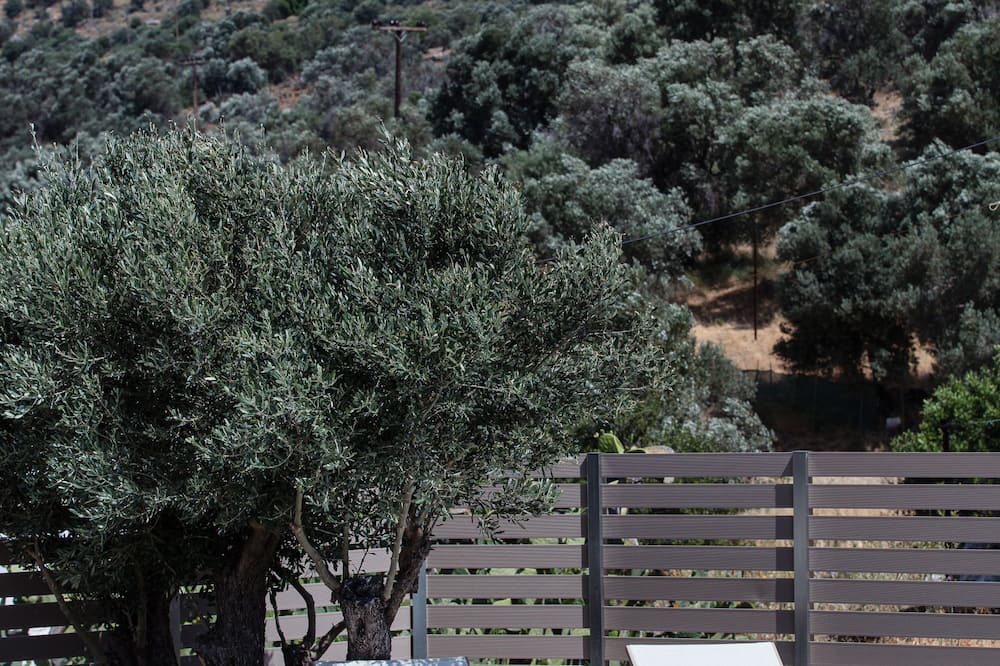 Photo of Others in Orne