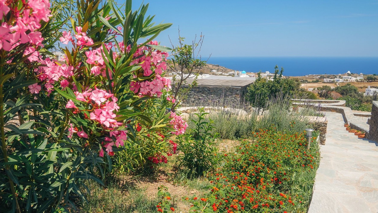 Photo of Others in Apollonia