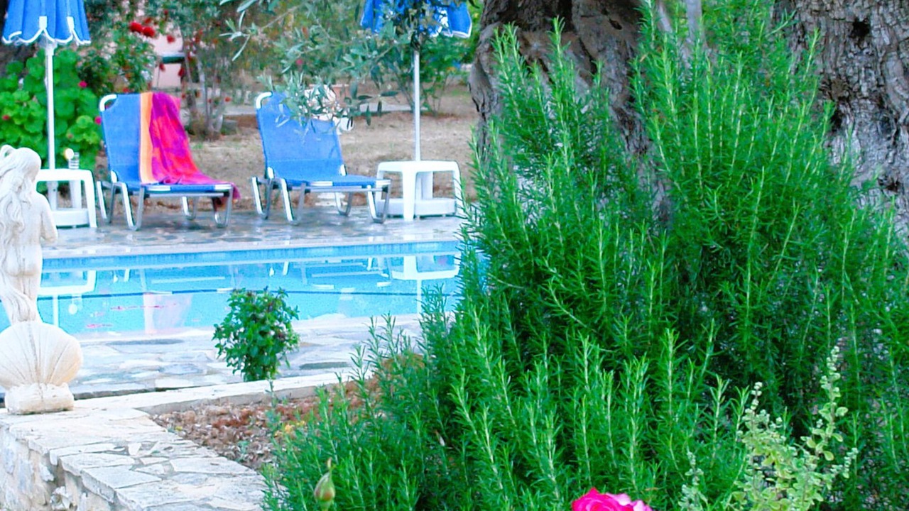 Photo of Outdoor in Asteri