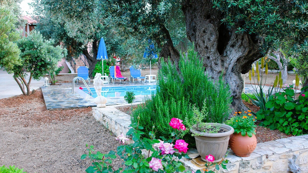 Photo of Outdoor in Asteri