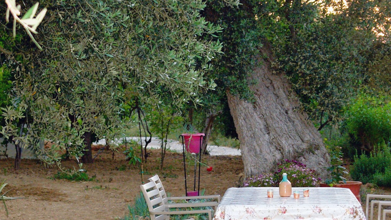 Photo of Outdoor in Asteri