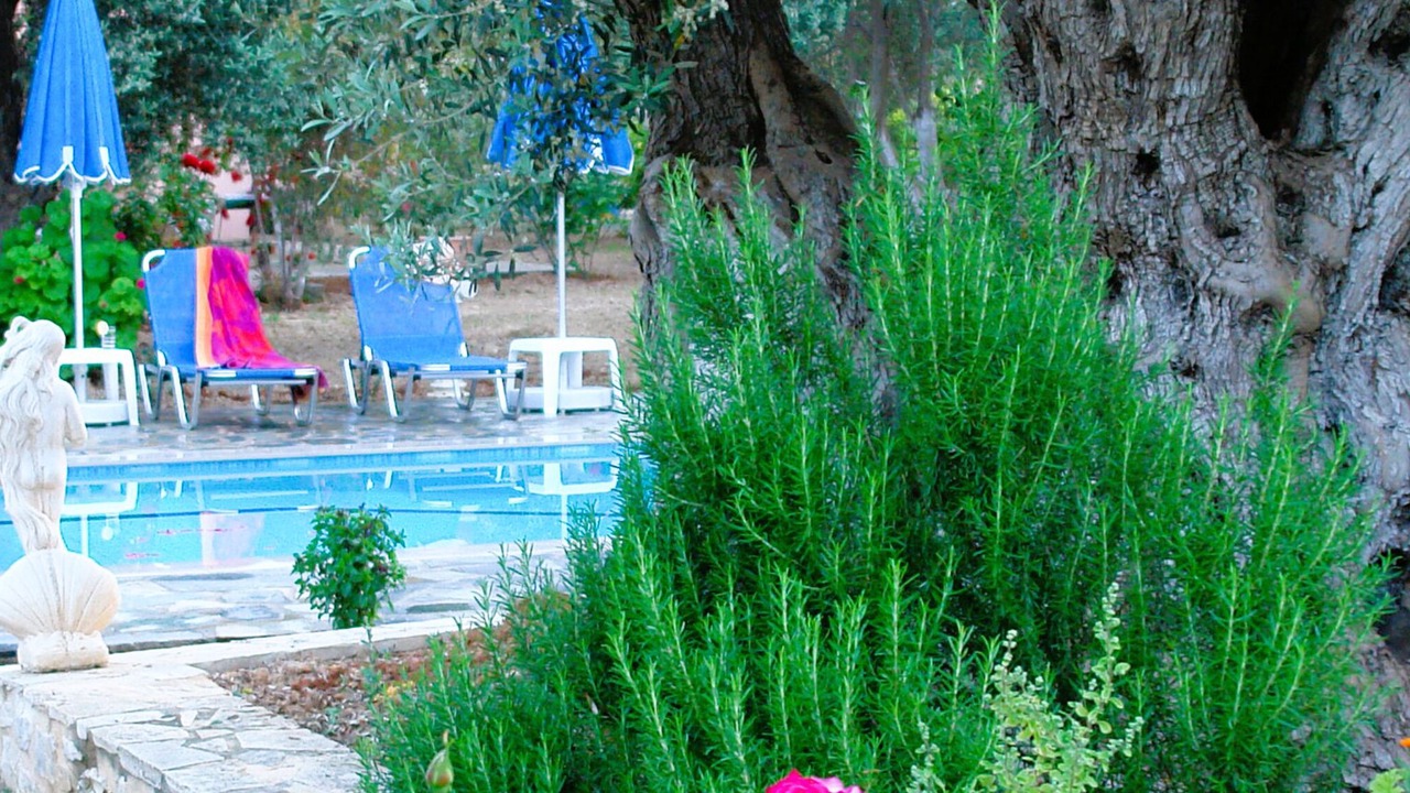Photo of Outdoor in Asteri