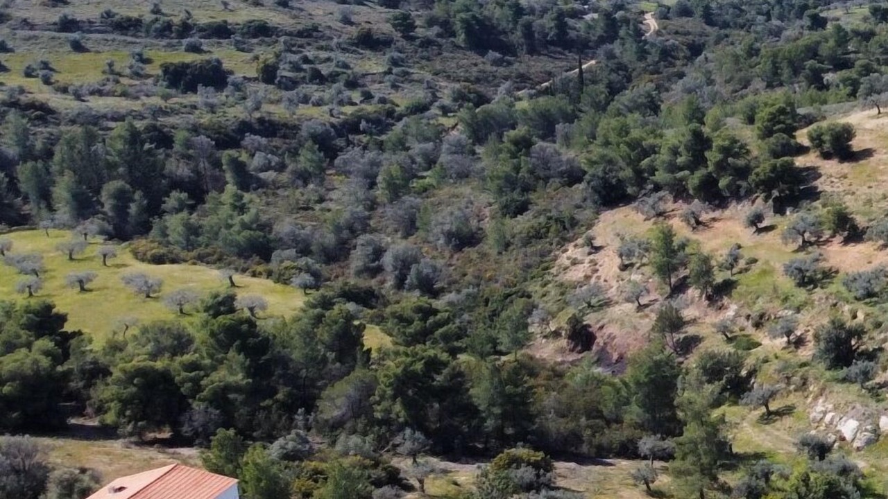 Photo of Outdoor in Kilada