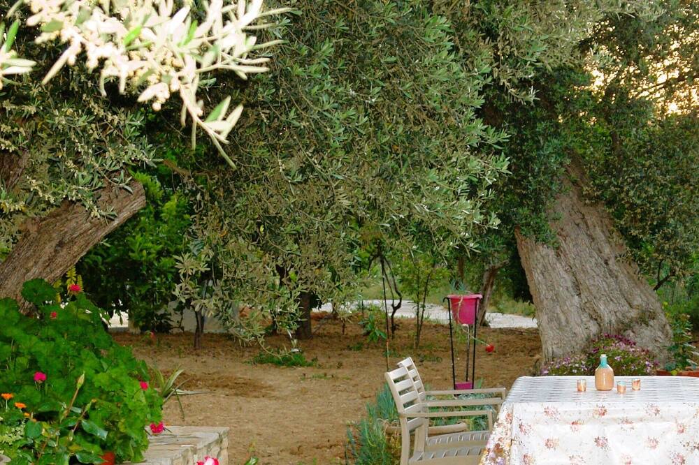 Photo of Outdoor in Asteri