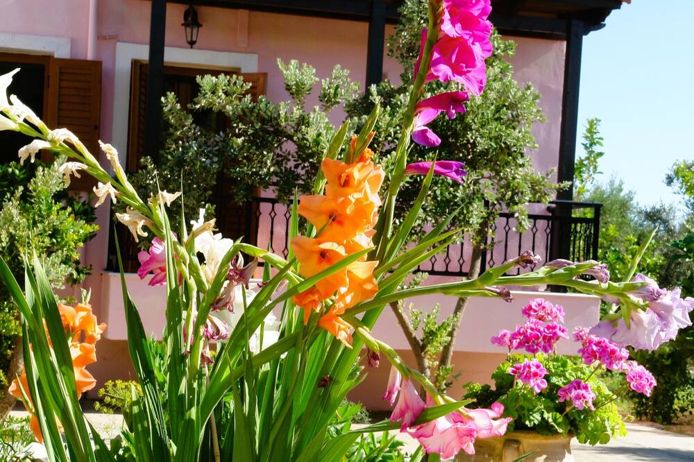 Photo of Outdoor in Asteri
