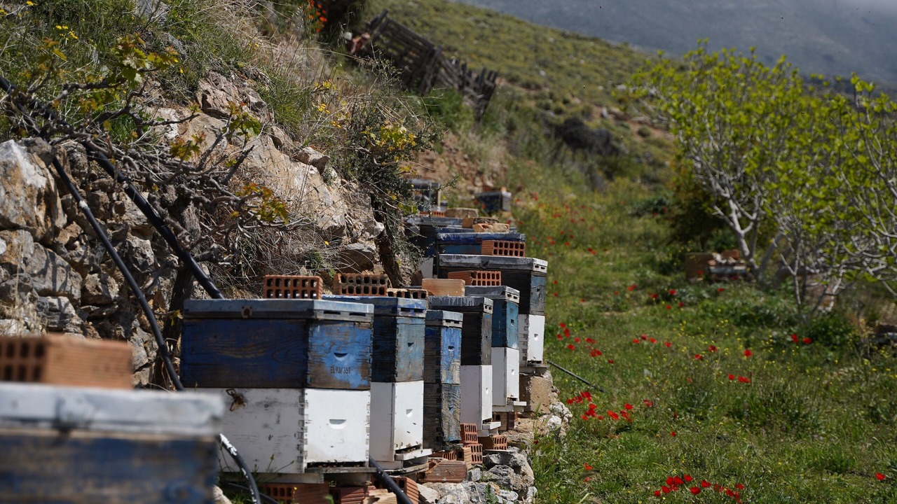 Photo of Outdoor in Agia Galini