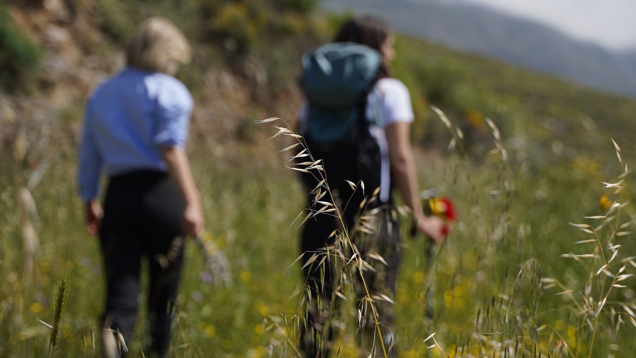 Photo of Outdoor in Agia Galini