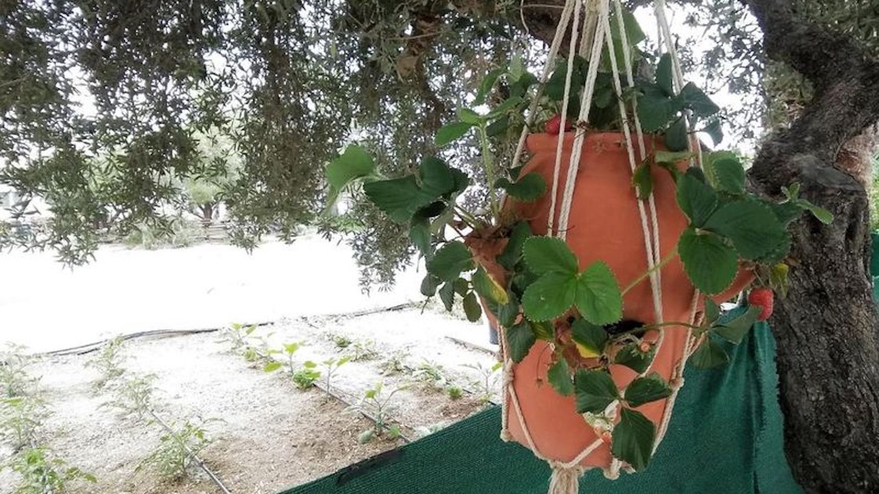 Photo of Outdoor in Ferma