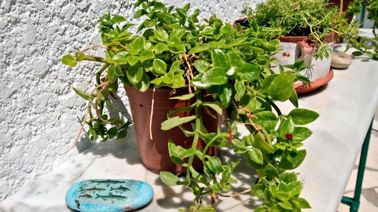 Photo of Outdoor in Ferma
