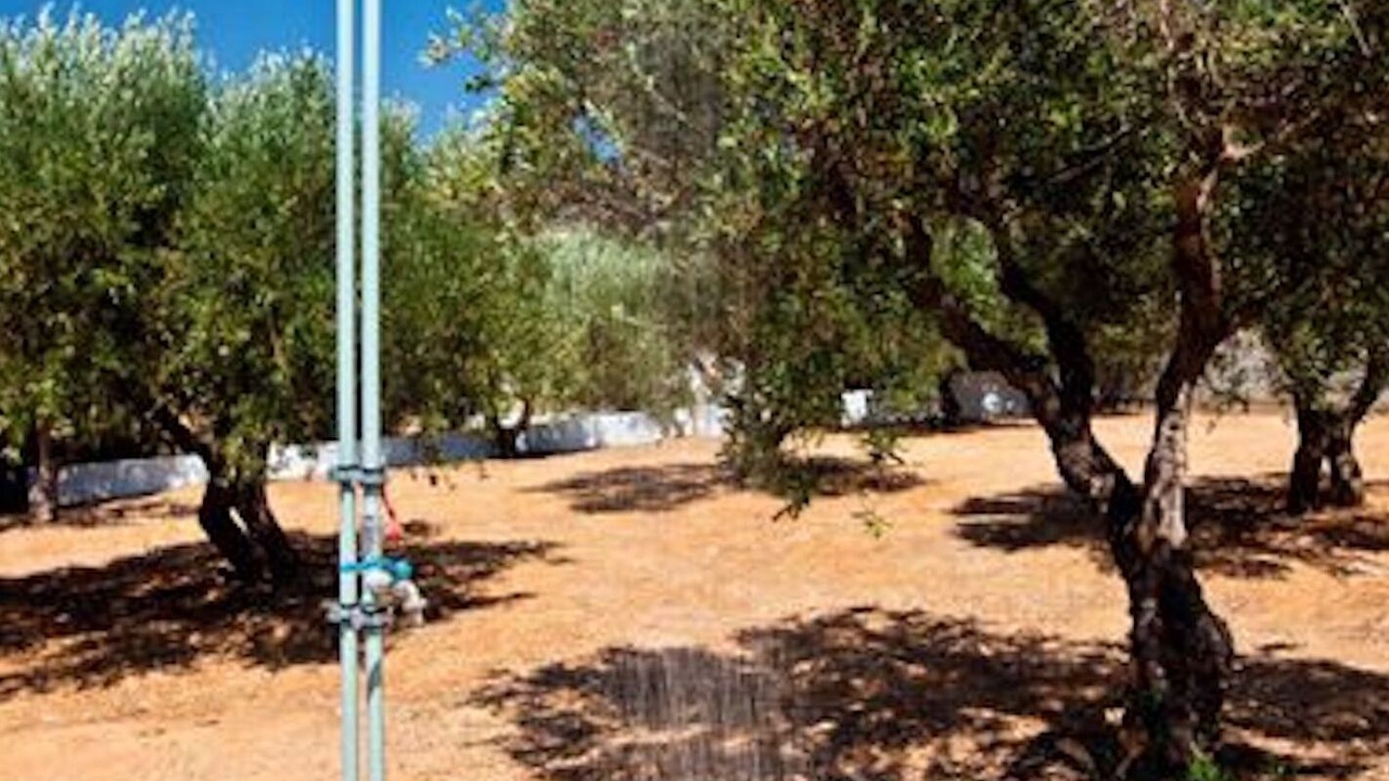 Photo of Outdoor in Ferma