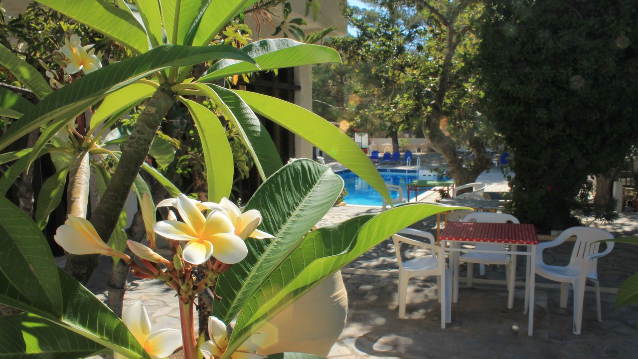 Photo of Patio Balcony in Mirtos