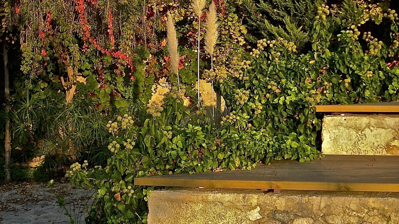 Photo of Outdoor in Halepa