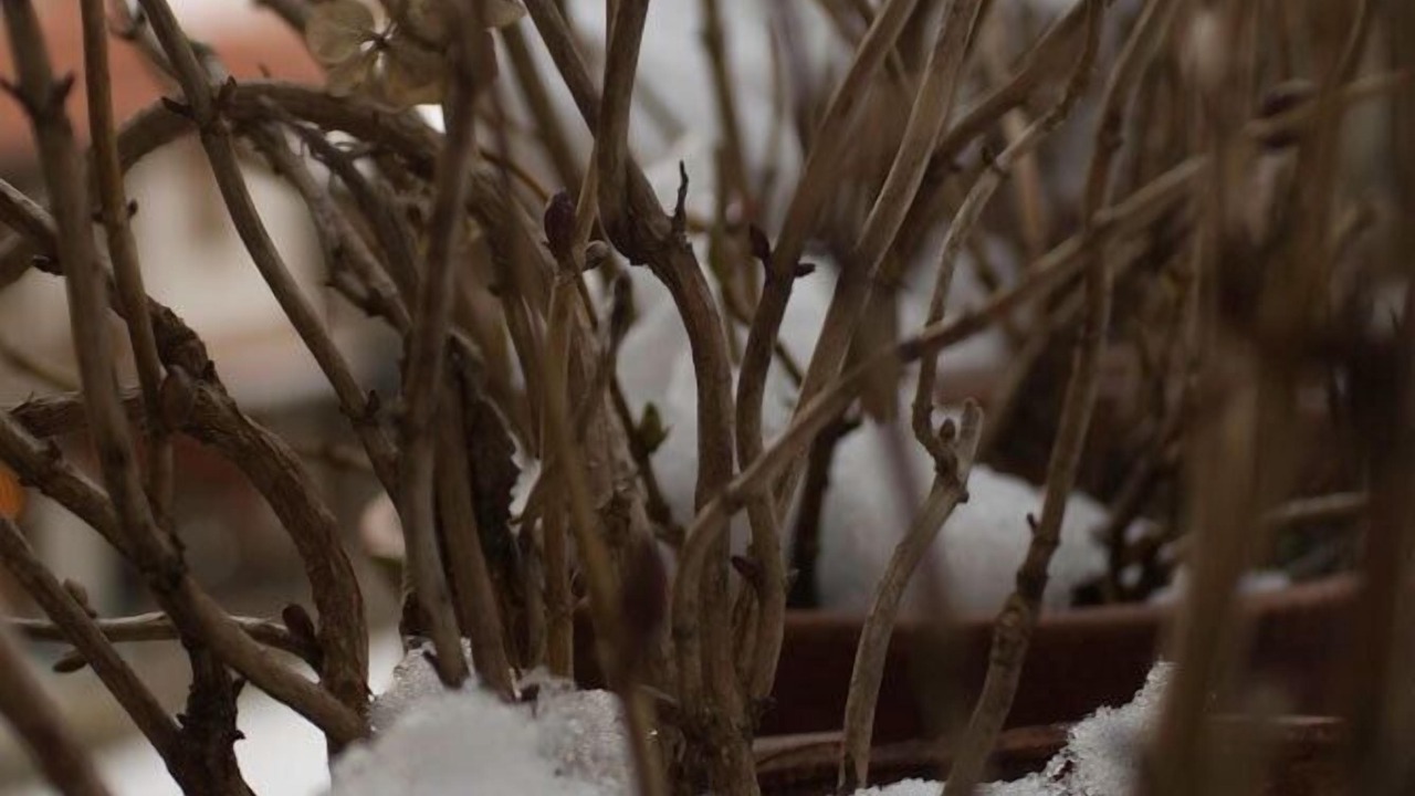 Photo of Outdoor in Metsovo
