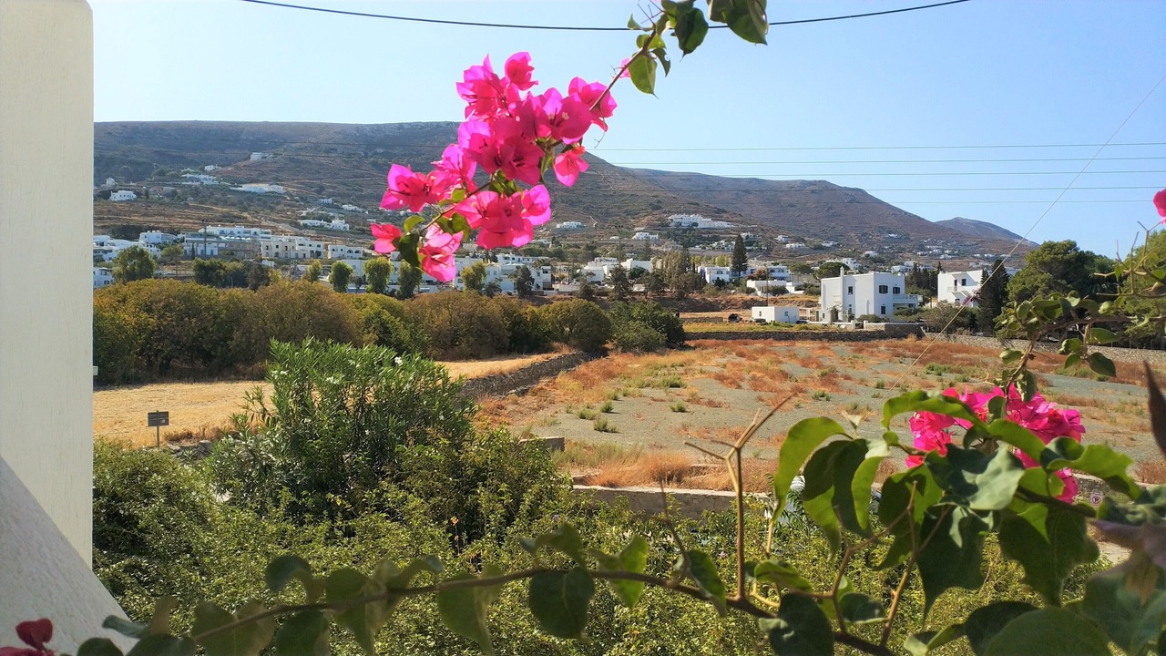 Photo of Outdoor in Paros