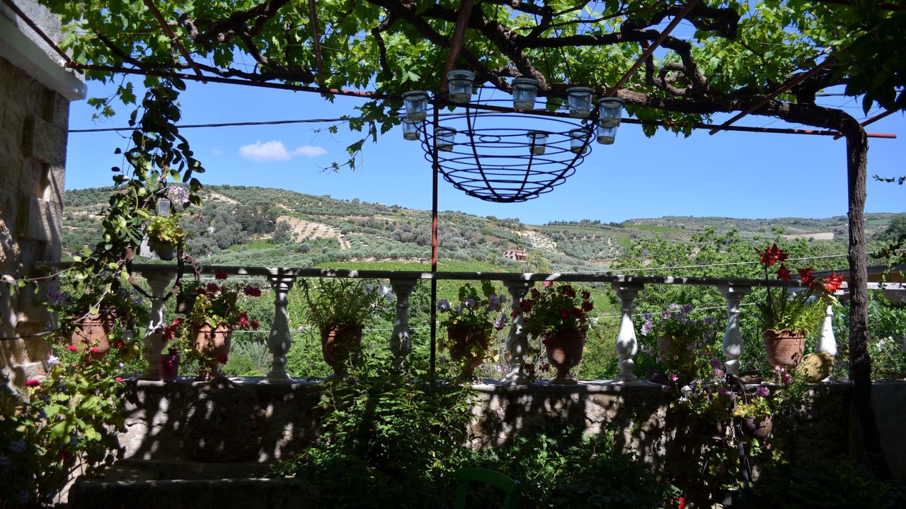 Photo of Outdoor in Sarkhos