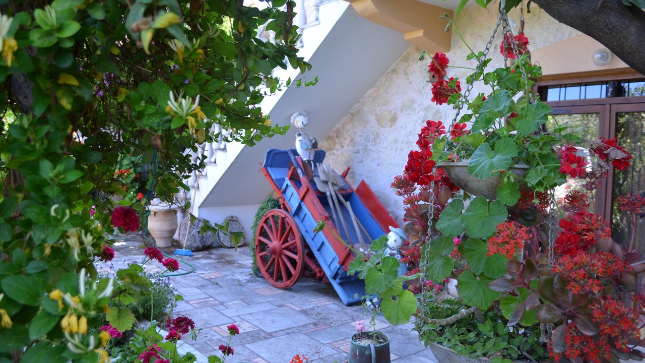 Photo of Patio Balcony in Sarkhos