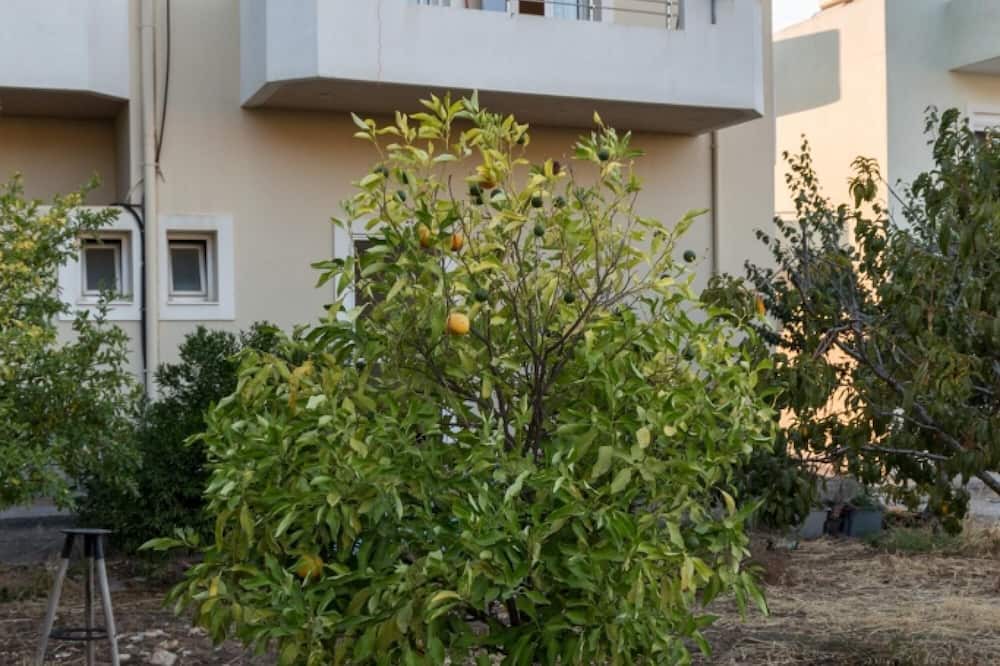 Photo of Outdoor in Archanes-Asterousia